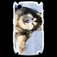 Coque Black Berry 8520 Chien d'Alaska