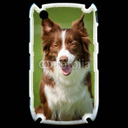 Coque Black Berry 8520 Chien Colley marron et blanc