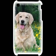 Coque iPhone 3G / 3GS Portrait de Chien Golden 5