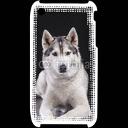 Coque iPhone 3G / 3GS Chien Husky de Sibérie