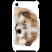 Coque iPhone 3G / 3GS Chiot chien loup 5