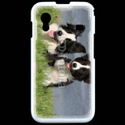 Coque Samsung ACE S5830 Chien Border Collie noir et blanc