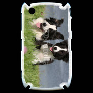 Coque Black Berry 8520 Chien Border Collie noir et blanc