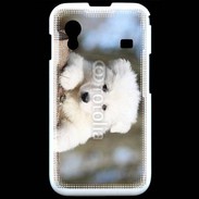 Coque Samsung ACE S5830 Chiot berger blanc suisse