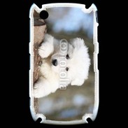 Coque Black Berry 8520 Chiot berger blanc suisse