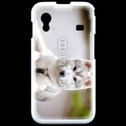Coque Samsung ACE S5830 Chien Husky de Sibérie 2