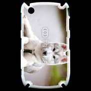 Coque Black Berry 8520 Chien Husky de Sibérie 2