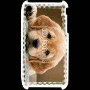 Coque iPhone 3G / 3GS Chiot labrador golden 2