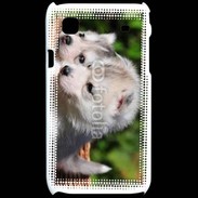 Coque Samsung Galaxy S Chiot Husky de Sibérie 3