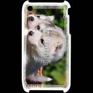 Coque iPhone 3G / 3GS Chiot Husky de Sibérie 3
