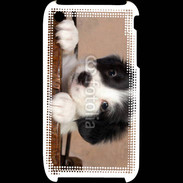 Coque iPhone 3G / 3GS Chiot blanc et noir 2