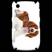 Coque Black Berry 8520 Chien Springer Spaniel