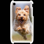 Coque iPhone 3G / 3GS Yorkshire terrier 6
