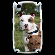 Coque Black Berry 8520 Chien Staffordshire