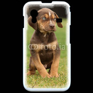 Coque Samsung ACE S5830 Chiot marron 2