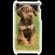 Coque iPhone 3G / 3GS Chiot marron 2