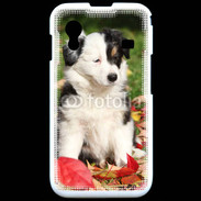 Coque Samsung ACE S5830 Adorable chiot Border collie