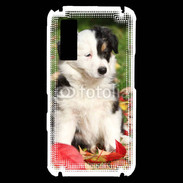 Coque Samsung Player One Adorable chiot Border collie