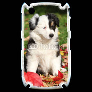 Coque Black Berry 8520 Adorable chiot Border collie