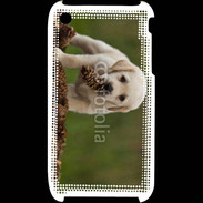 Coque iPhone 3G / 3GS Chiot labrador avec pomme de pin