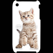 Coque iPhone 3G / 3GS Adorable chaton 7