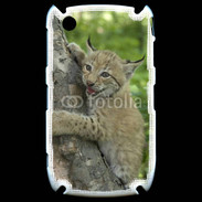 Coque Black Berry 8520 Bébé Lynx