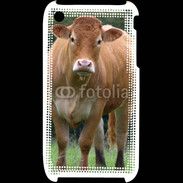 Coque iPhone 3G / 3GS Vache de race limousine