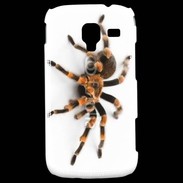 Coque Samsung Galaxy Ace 2 Araignée tarentule