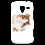 Coque Samsung Galaxy Ace 2 Cochon d'inde 2