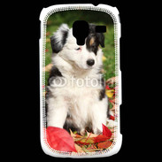 Coque Samsung Galaxy Ace 2 Adorable chiot Border collie