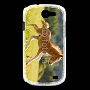 Coque Samsung Galaxy Express Poulain dans un champs