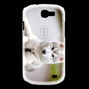 Coque Samsung Galaxy Express Chien Husky de Sibérie 2