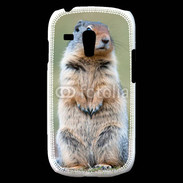 Coque Samsung Galaxy S3 Mini Marmotte 2