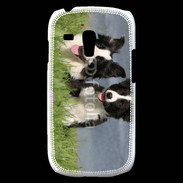 Coque Samsung Galaxy S3 Mini Chien Border Collie noir et blanc