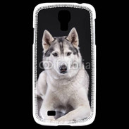 Coque Samsung Galaxy S4 Chien Husky de Sibérie