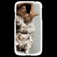 Coque Samsung Galaxy S4 Sieste de chatons