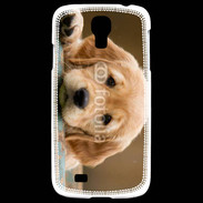 Coque Samsung Galaxy S4 Chiot labrador golden 2