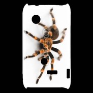 Coque Sony Xperia Typo Araignée tarentule