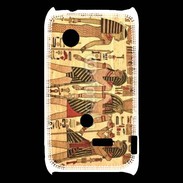 Coque Sony Xperia Typo Peinture Papyrus Egypte