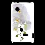 Coque Sony Xperia Typo Orchidée blanche