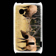 Coque Sony Xperia Typo Combat de cerf