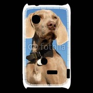 Coque Sony Xperia Typo Chien de chasse Braque