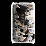 Coque Sony Xperia Typo Abrivado Chevaux et taureaux