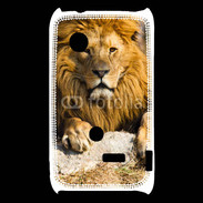 Coque Sony Xperia Typo Tête de lion