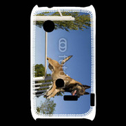 Coque Sony Xperia Typo Chien agility