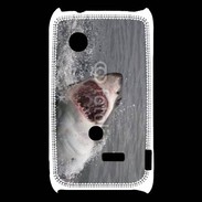 Coque Sony Xperia Typo Attaque de requin blanc