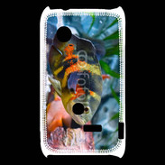 Coque Sony Xperia Typo Poisson coloré