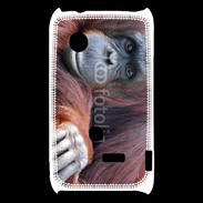 Coque Sony Xperia Typo Singe adulte 