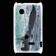 Coque Sony Xperia Typo Queue de Baleine 2