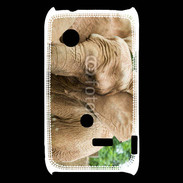 Coque Sony Xperia Typo Elephant d'Afrique